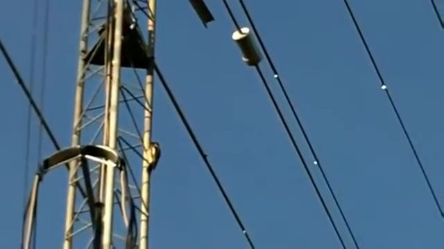 Дятел он и есть дятел смотреть онлайн