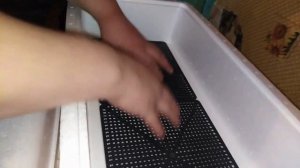 Как правильно собрать инкубатор "Несушка" с цифровым терморегулятором