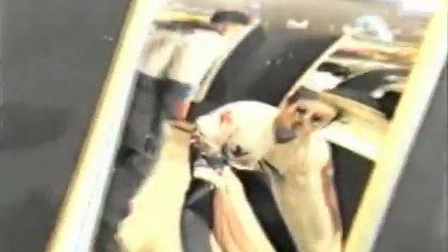 Карт Бланш - От танцев не толстеют смотреть онлайн