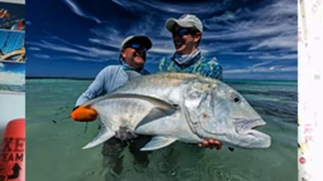 21 выпуск. Большой каранкс. Рыба, которая ест птиц. Влог о животных. смотреть онлайн