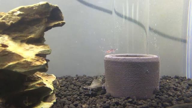 Sochting oxydator mini смотреть онлайн