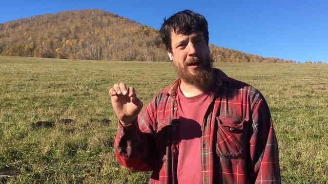 Деньги - что это? (Финансовое Управление 12 из ...) смотреть онлайн