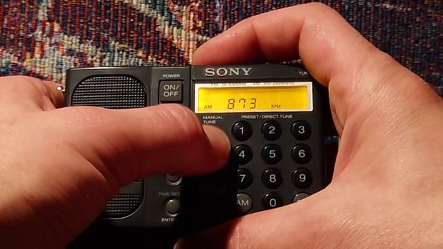 Sony Icf SW1