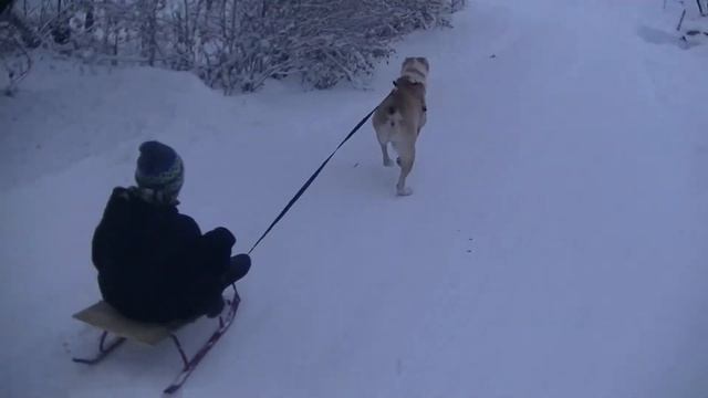 АЛАБАЙ друг моего сына смотреть онлайн