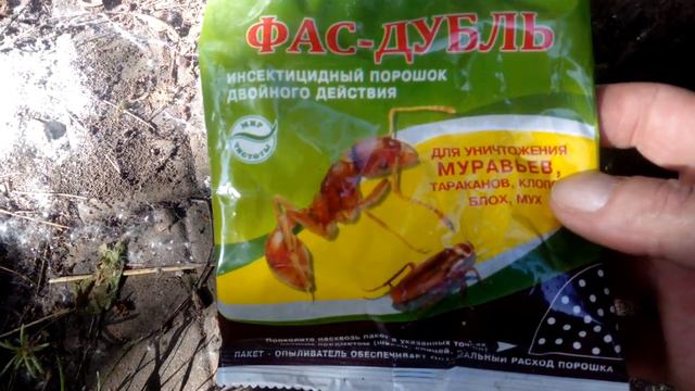 Как избавиться от муравьев? СУПЕР СРЕДСТВО !!!