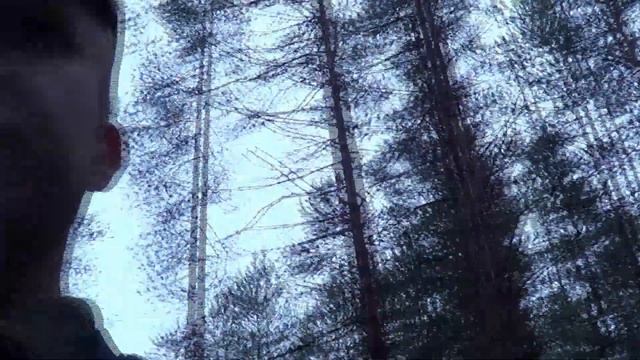 Грибалка в сосновом бору!Белые грибы Архангельского леса. смотреть онлайн