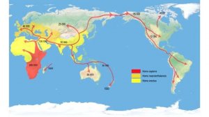 Происхождение человека (рассказывает Станислав Дробышевский)