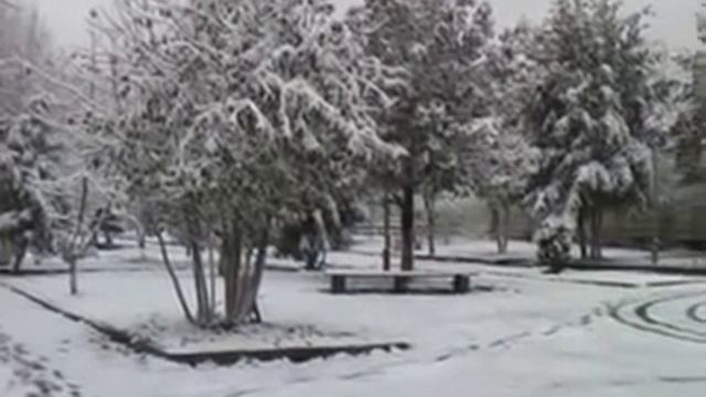 Ливны. Ноябрь.Первый снег. Рома Жуков.