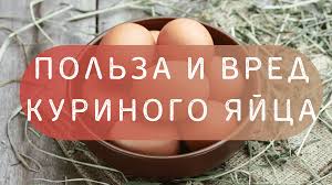 Яйца_Польза_или_Вред. смотреть онлайн