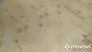 Продолжение ремонта кухни. Замена линолеума.