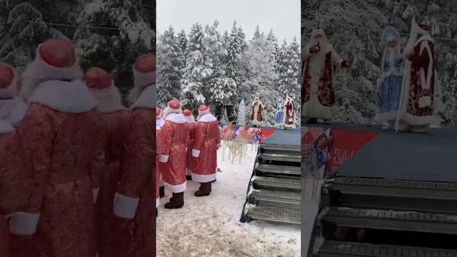 Кремлевская елка отправляется на Соборную площадь смотреть онлайн