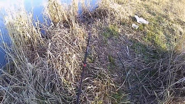 🐟Рыбалка на Лимане,Ласкирь Атакует!!!🐟Апрель! смотреть онлайн