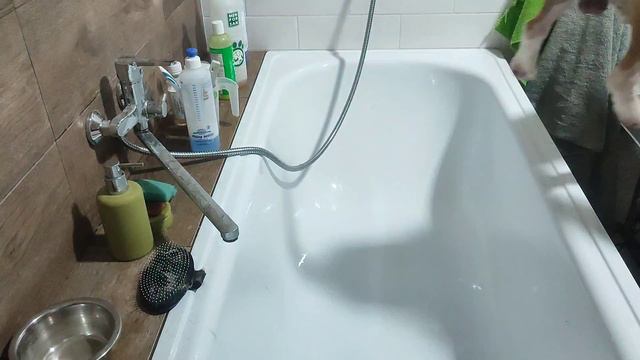 Груминг бигля смотреть онлайн
