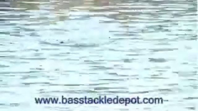 Bass fishing the Black Dog Shell Cracker смотреть онлайн