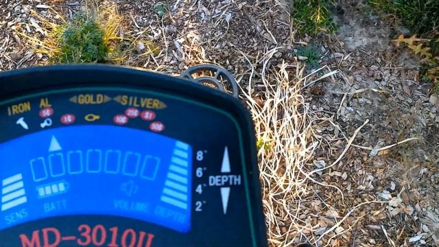 MD-3010ii METAL DETECTOR Review. The BEST Detector Under $50.