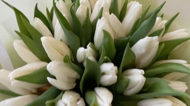 Букет из 35 тюльпанов Дофине смотреть онлайн