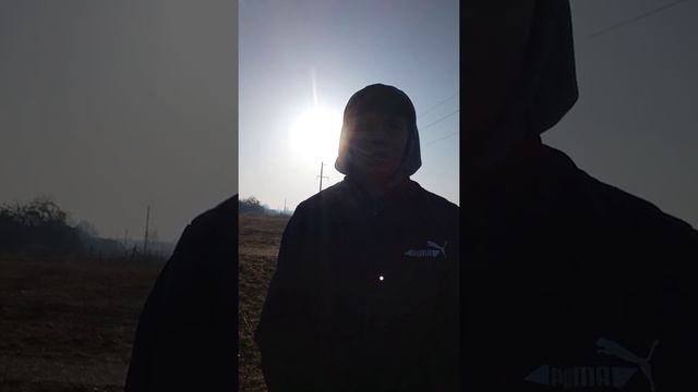 Роскошная жизнь не всегда бывает приятной ! смотреть онлайн