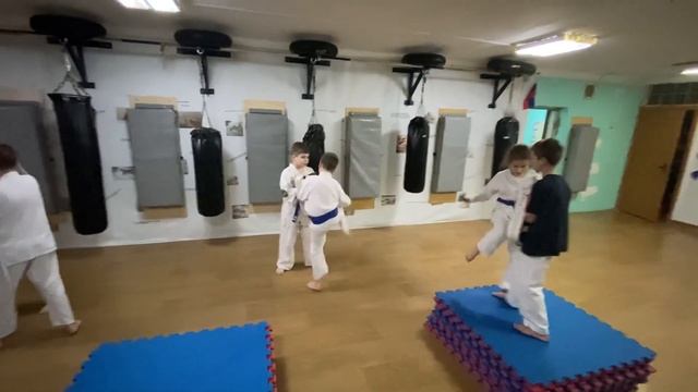 Тренировка 16 декабря 2022 года. Киокусинкай каратэ в Климовске на Западной 12. смотреть онлайн