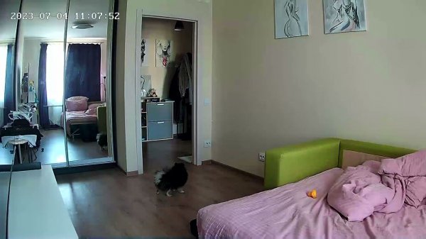 IZITRONIC WiFi Камера съемка день