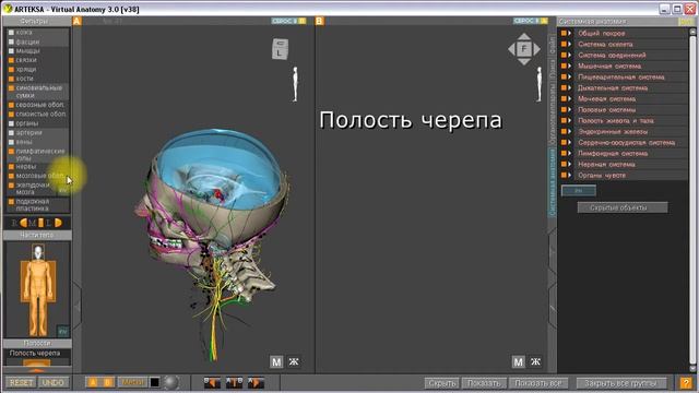 Урок2 Левое меню смотреть онлайн