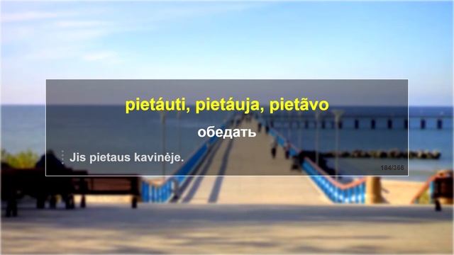 365 основных литовских глаголов смотреть онлайн
