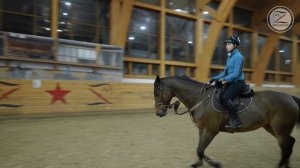 Конкурная тренировка / Упражнение из ряда препятствий / Установка препятствий