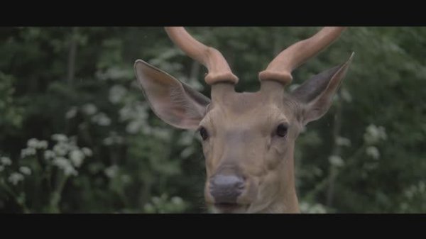 "После дождя" Илья Зудин #NEFORMAT