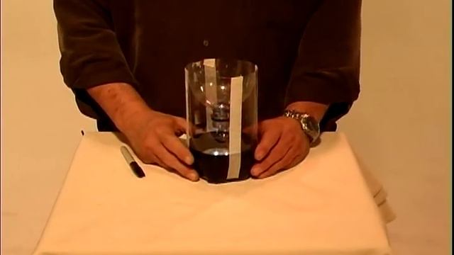 BEST Stink Bug Trap EVER смотреть онлайн