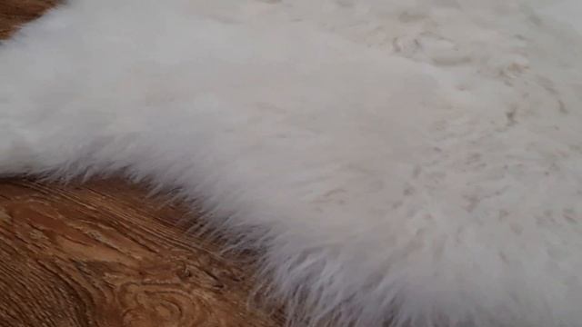 ШКУРА ОВЕЧЬЯ С МЯГКИМ МЕХОМ ПРИРОДНОГО БЕЛОГО ЦВЕТА (КОД: 4573 ) смотреть онлайн