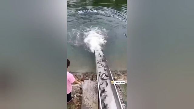 ТОП 20 приколов 2023