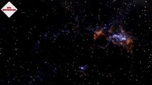 Кошелек! МАГИЯ Денег!Что Делать со СТАРЫМ КОШЕЛЬКОМ? Никогда НЕ Выбрасывайте СТАРЫЙ КОШЕЛЕК!!!