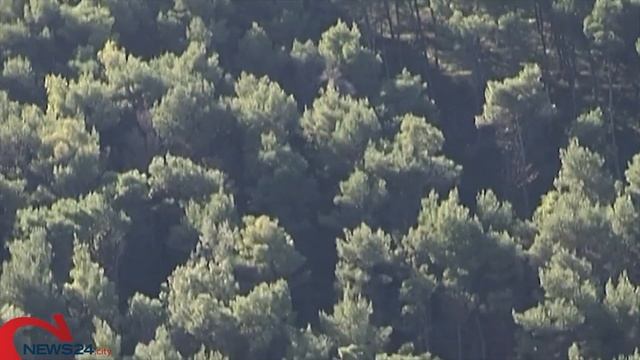 PUGLIA | Raccolta tartufi, De Lucia e Dionigi «Costretti dal silenzio del Parco al ricorso al TAR» смотреть онлайн