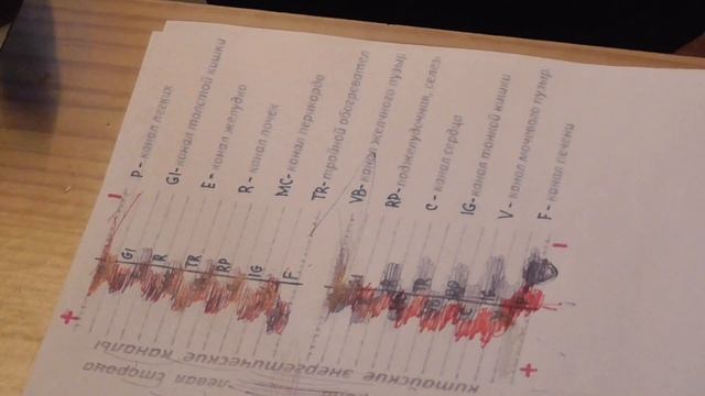 Обзор прибора ТГС-3а фирмы 