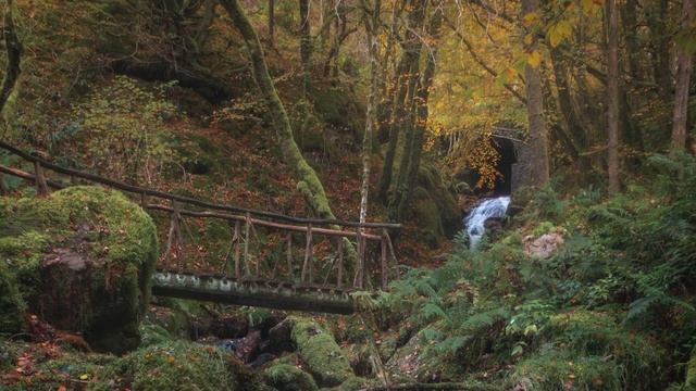 My favourite AUTUMN PHOTO LOCATION | SONY RX100 III Landscape Photography смотреть онлайн