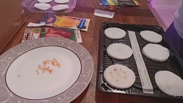 Сеем семена?/поговорим об участке??/вкусные вафли ? смотреть онлайн