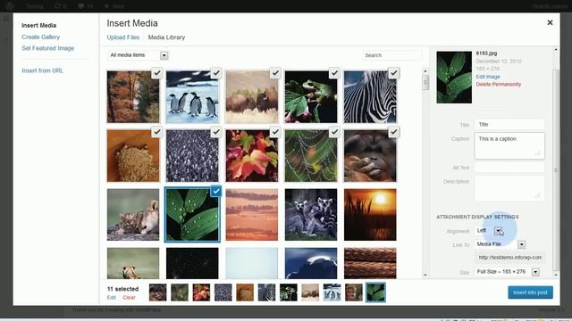 WordPress Gallery - How to Insert a Photo Gallery into a WordPress Post смотреть онлайн