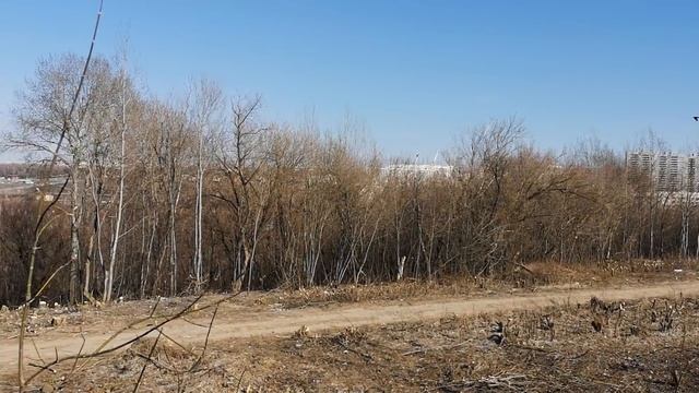 Вырубленный лес на Юго-Западе Чебоксар. Тут будут жилые дома вместо парка :( смотреть онлайн