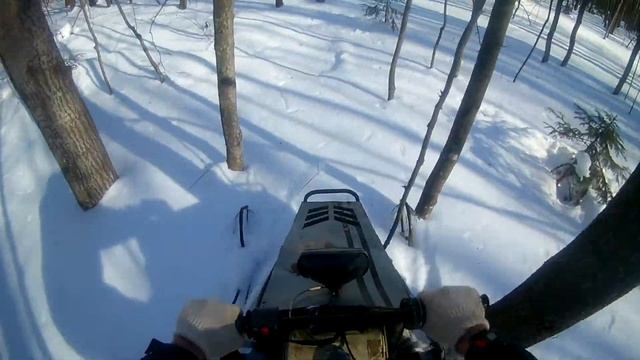 на самодельном снегоходе по лесу смотреть онлайн