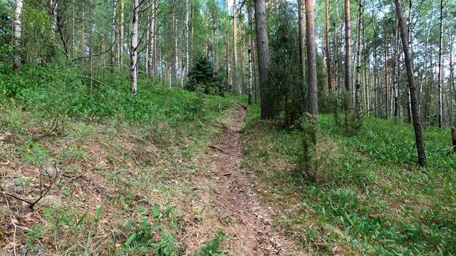 Яльчик-Глухое, катаем трейлы смотреть онлайн