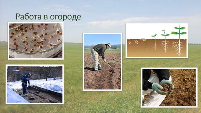 531 Труд человека весной старший возраст Цепуштанова С М МАДОУ 531 смотреть онлайн