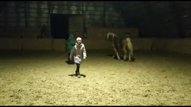 Работа конный школы продолжается и в зимний период. Перевозский конный завод смотреть онлайн