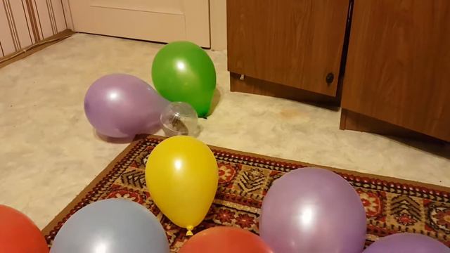 Хомяк в шаре и шарики смотреть онлайн