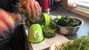 Подмаренник цепкий.Лимфатическая система скажет вам спасибо.