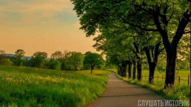Мать заставила дочь бросить ребенка в роддоме... смотреть онлайн