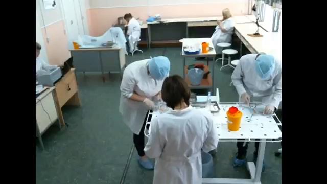 Ветеринария. Демо экзамен. День 4.
