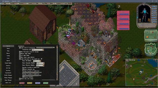 UO Outlands Гайд по настройке клиента Classic UO смотреть онлайн