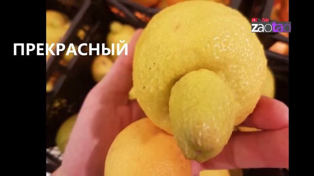 САМЫЕ ОПАСНЫЕ ФРУКТЫ И ОВОЩИ В СЕТЯХ! смотреть онлайн
