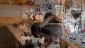 ремонт корзины для посудомойки #часть 1                       +создание Молдавского "супер оружия"