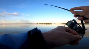 Чемпионат Липецкой области по ловле спиннингом с берега, или как я не поймал, но реабилитировался