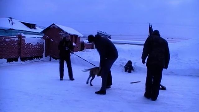 Жара JARA des NDR 4,5 месяца смотреть онлайн